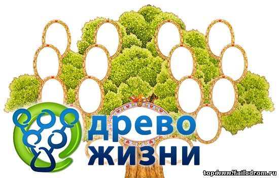 <b>Древо Жизни 4.7</b> скачать бесплатно