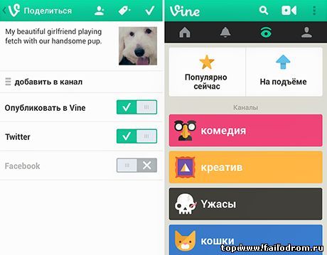 Vine на android 