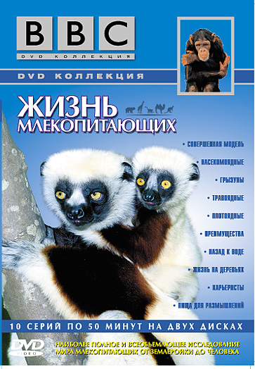 Новости наш летчик у игил
